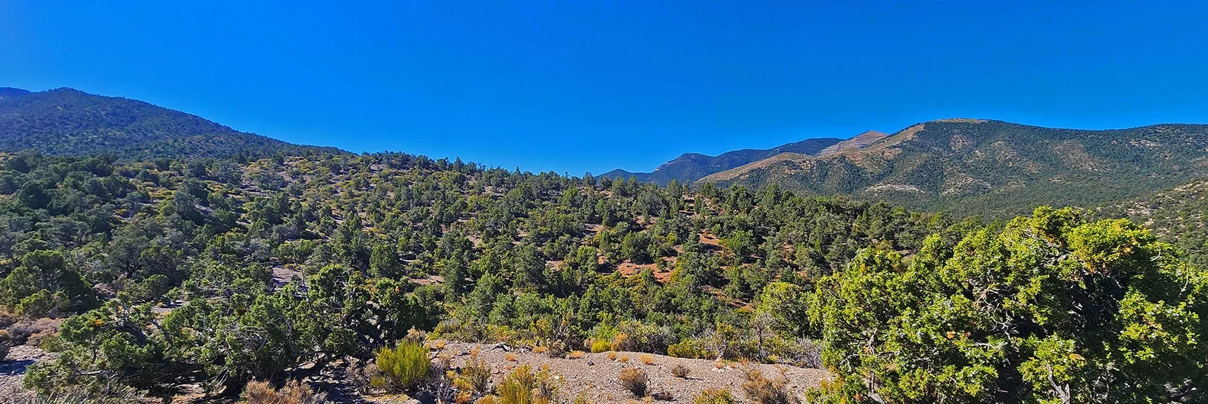Crossing Intervening Low Ridges & Valleys Toward Approach Ridge. | La Madre Ridgeline Grand Crossing | La Madre Mountains Wilderness and Red Rock Canyon NCA, Nevada