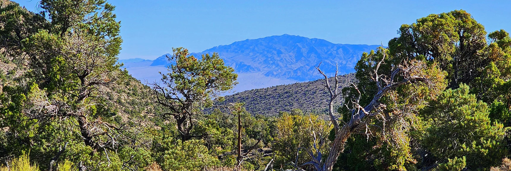 Now Ascending Toward Approach Ridge. View Back to Sheep Range. | La Madre Ridgeline Grand Crossing | La Madre Mountains Wilderness and Red Rock Canyon NCA, Nevada
