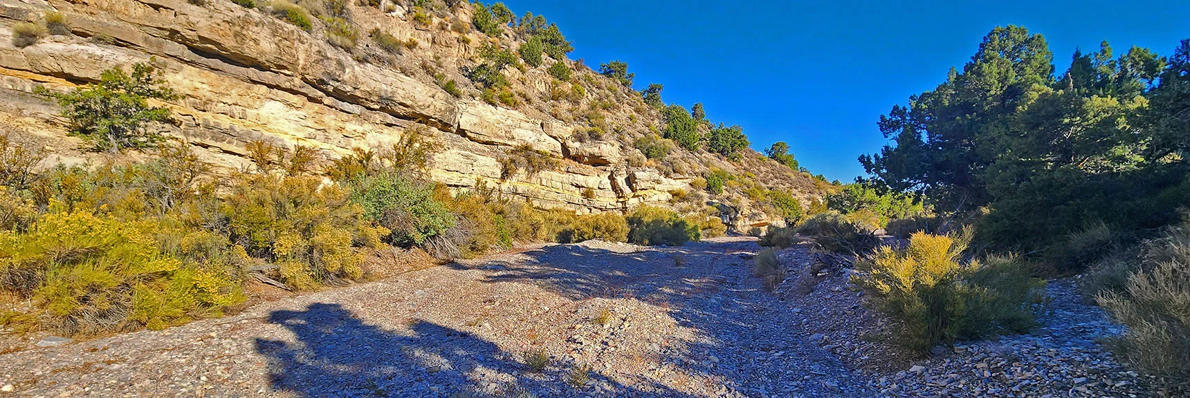 Descended into Approach Valley Wash. View Down Wash. | La Madre Ridgeline Grand Crossing | La Madre Mountains Wilderness and Red Rock Canyon NCA, Nevada