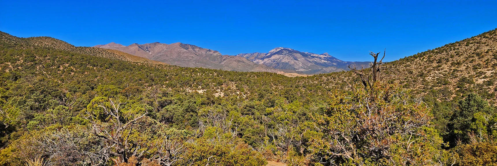View Over Toward Harris Mt. (Left); Mummy Mt. (Right). | La Madre Ridgeline Grand Crossing | La Madre Mountains Wilderness and Red Rock Canyon NCA, Nevada