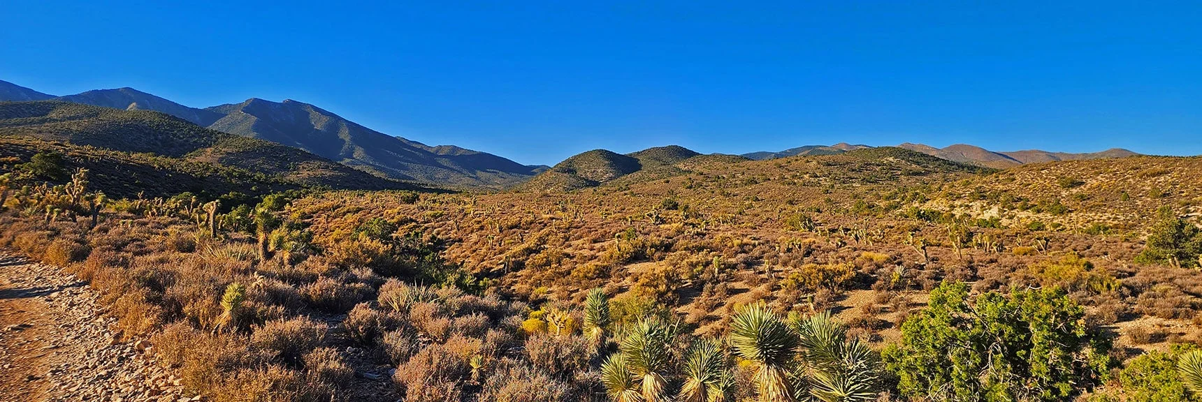 Ridgeline Approach Valley is Between El Bastardo and Lower Hill to Right | La Madre Ridgeline Grand Crossing | La Madre Mountains Wilderness and Red Rock Canyon NCA, Nevada