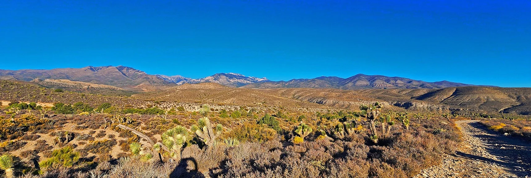 Charleston Wilderness High Peaks to Angel Peak to Left of Approach Road. | La Madre Ridgeline Grand Crossing | La Madre Mountains Wilderness and Red Rock Canyon NCA, Nevada