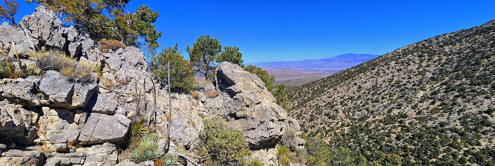More Limestone Rock Scrambles. Nothing Major. Light Class 3. | La Madre Ridgeline Grand Crossing | La Madre Mountains Wilderness and Red Rock Canyon NCA, Nevada