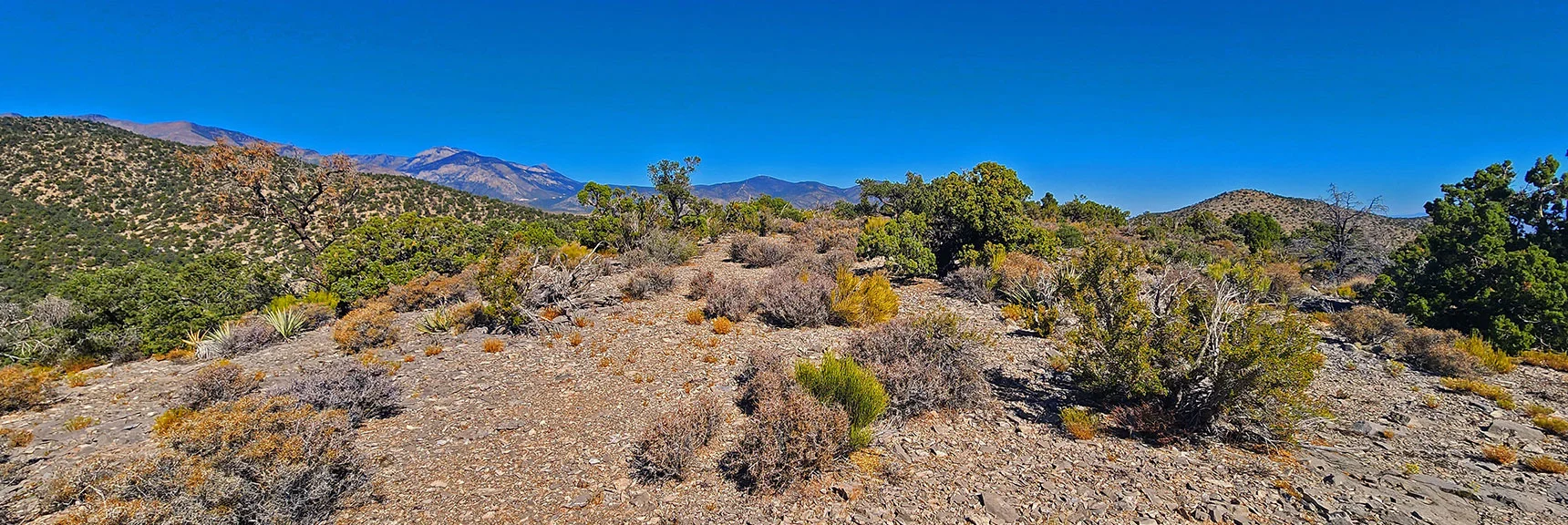 View Back Down Base of Approach Ridge | La Madre Ridgeline Grand Crossing | La Madre Mountains Wilderness and Red Rock Canyon NCA, Nevada