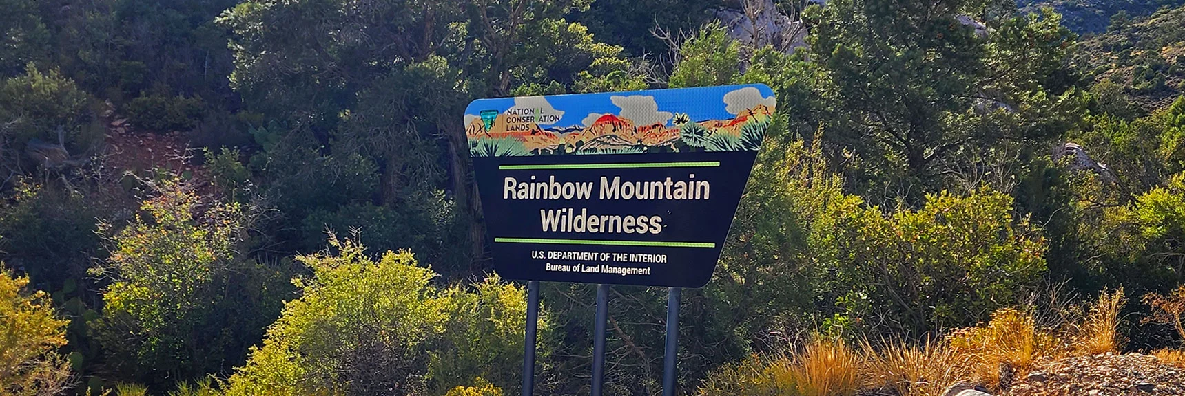 Rainbow Mt. Wilderness Entrance Sign on Rocky Gap Rd Above Willow Springs | La Madre Ridgeline Grand Crossing | La Madre Mountains Wilderness and Red Rock Canyon NCA, Nevada