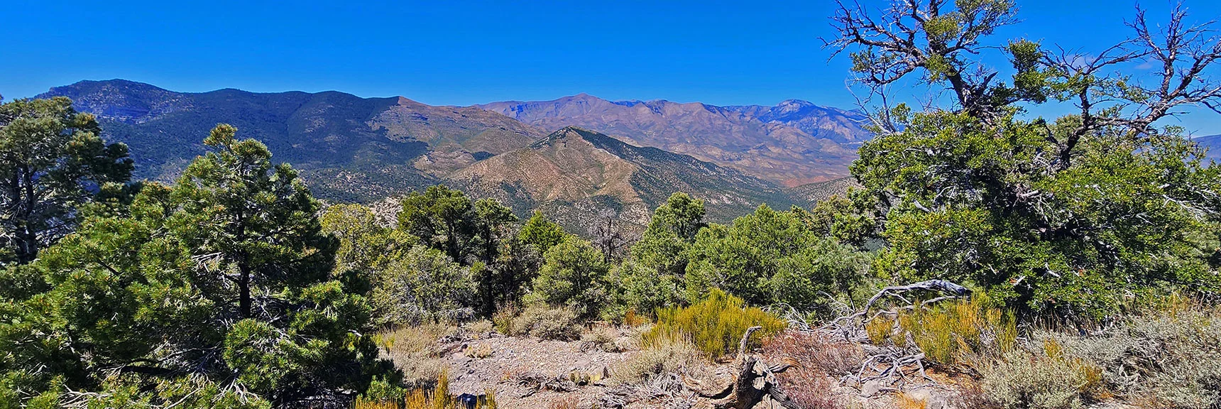 Terrain Along the La Madre Ridgeline Toward the Low Saddle Descent Point. | La Madre Ridgeline Grand Crossing | La Madre Mountains Wilderness and Red Rock Canyon NCA, Nevada