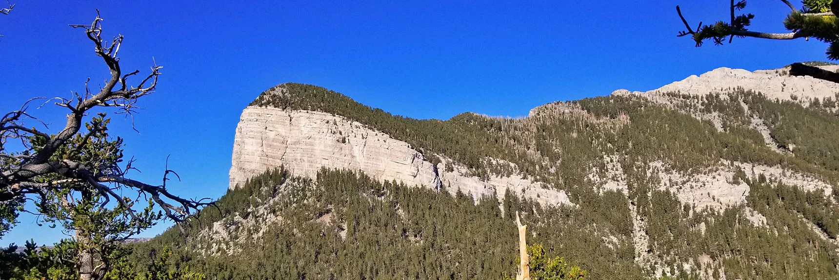 Mummy's Forehead Lower Stimpson Gully Exploration | Mt Charleston Wilderness, Nevada