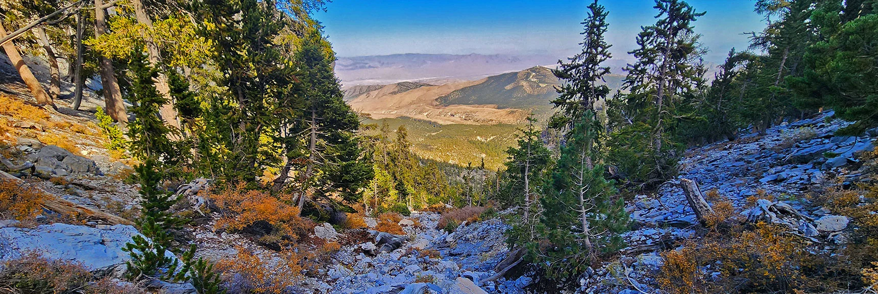 Descent is Faster, More Streamlined. | Mummy Mountain Forehead Summit Approach Gully | Mt Charleston Wilderness, Nevada