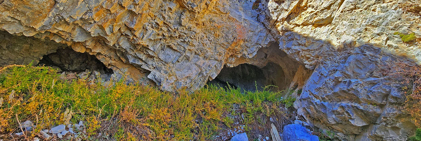 Two Interesting Caves at Dry Fall Base. Look Tight! | Mummy Mountain Forehead Summit Approach Gully | Mt Charleston Wilderness, Nevada