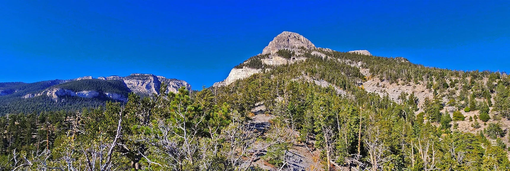 Ascend Ridge Watching for Point to Angle Left Along Cliff Base Ahead | Mummy Mountain Forehead Summit Approach Gully | Mt Charleston Wilderness, Nevada