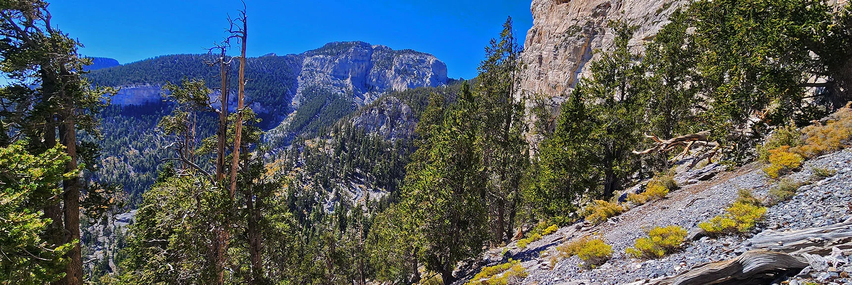 Near Far Edge of Cliffs Set Sights on Mummy's Forehead Approach Gully Below. | Mummy Mountain Forehead Summit Approach Gully | Mt Charleston Wilderness, Nevada