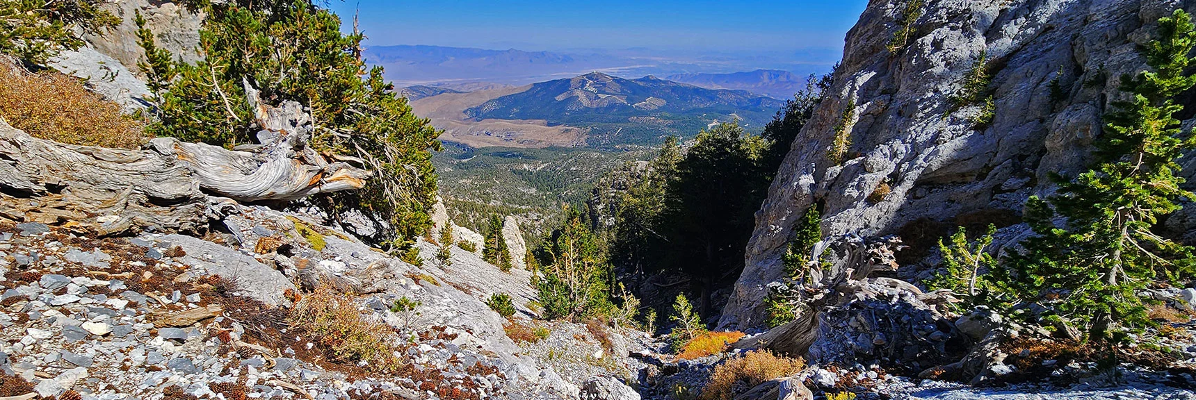 Begin Descent of Approach Gully. | Mummy Mountain Forehead Summit Approach Gully | Mt Charleston Wilderness, Nevada