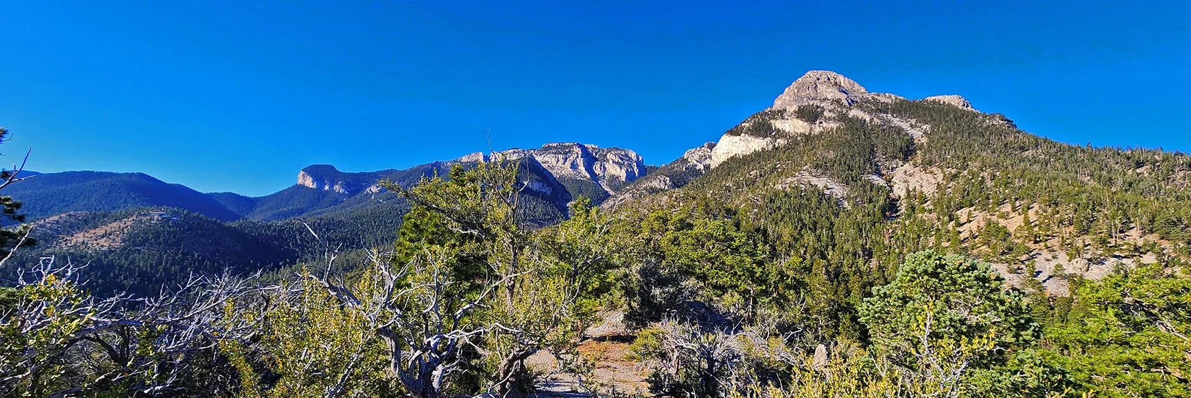 Seven-Mile Canyon Eastern Ridgeline Toward Mummy's Nose and Beyond | Mummy Mountain Forehead Summit Approach Gully | Mt Charleston Wilderness, Nevada