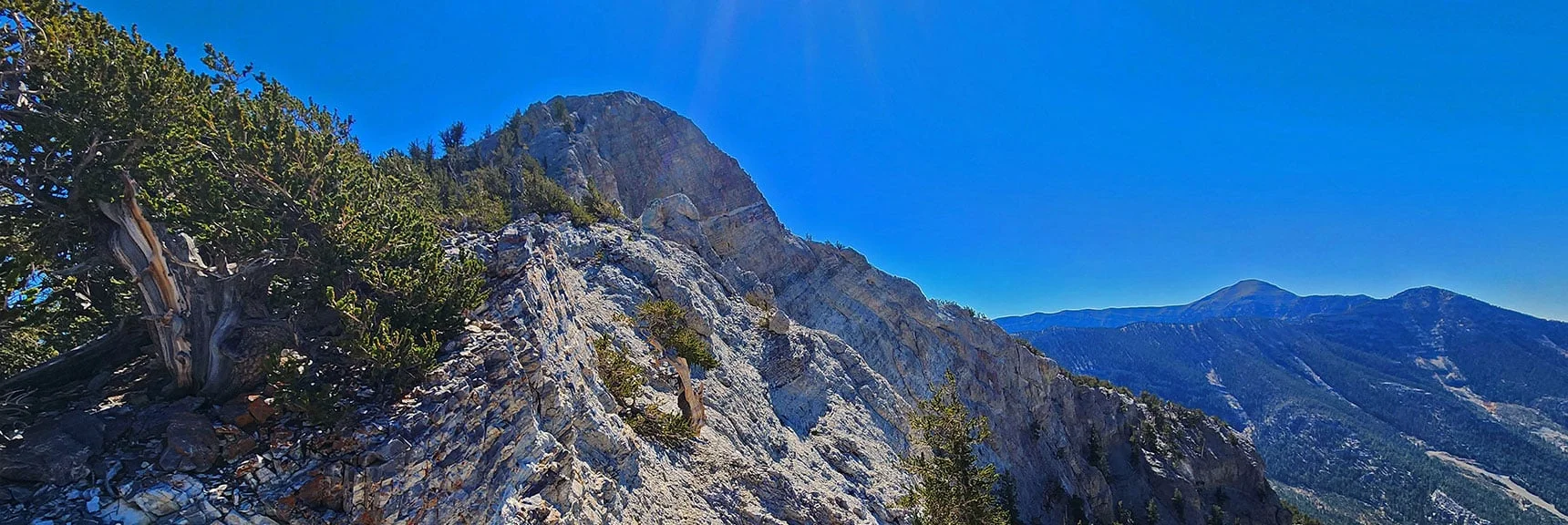 View East Across Mummy's Chin Ridgeline to Mummy's Chin Summit. | Mummy's Chin Summit Ridge Loop | Mt. Charleston Wilderness, Nevada