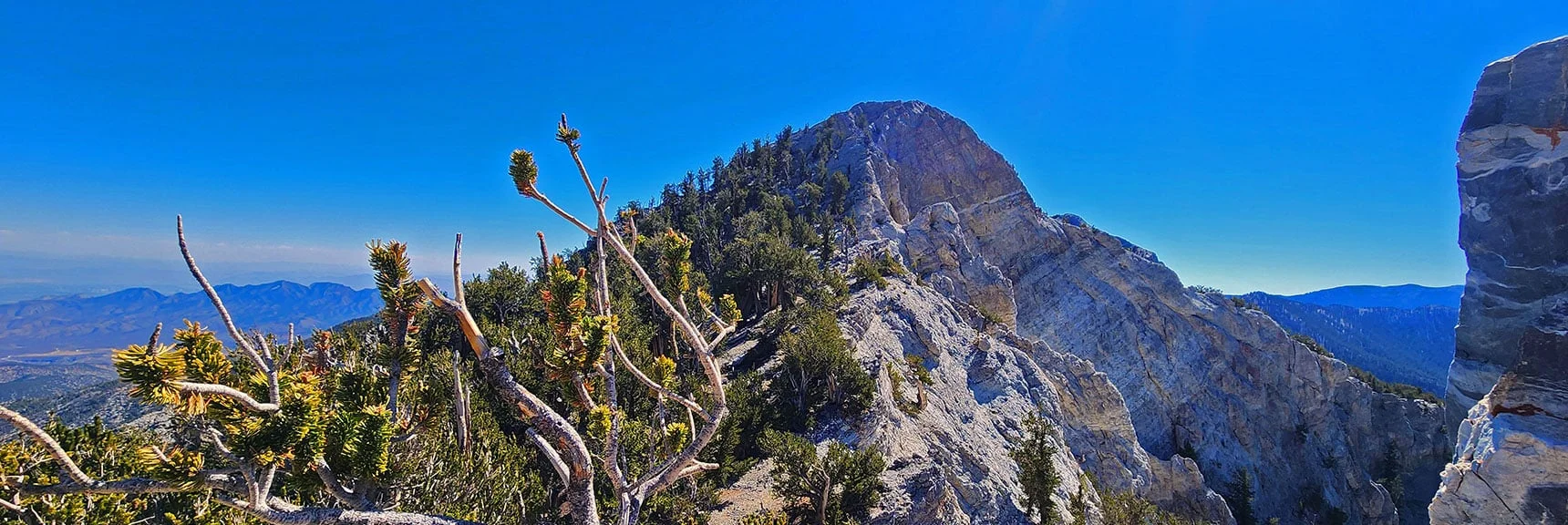 Mummy's Chin is Only a Football Field's Distance. Terrain a Light Rock Scramble. | Mummy's Chin Summit Ridge Loop | Mt. Charleston Wilderness, Nevada