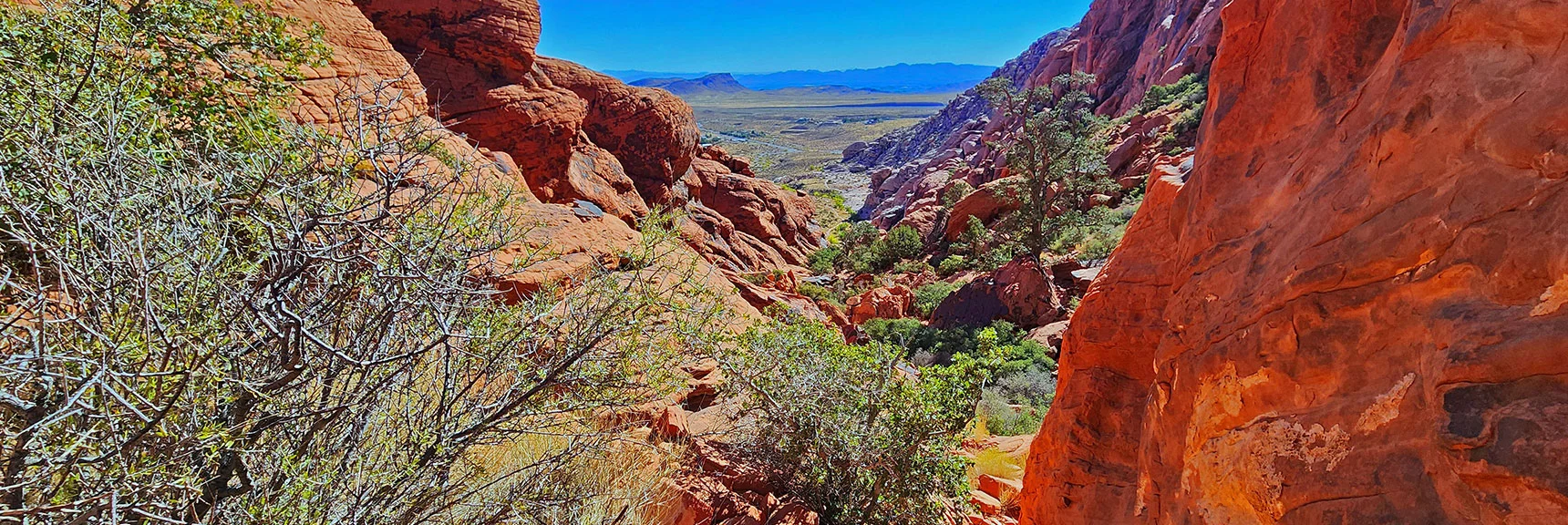 Higher View Down Guardian Angel Pass. Some Rock Scrambling. | Calico Tanks from Guardian Angel Pass | Red Rock Canyon NCA, Nevada