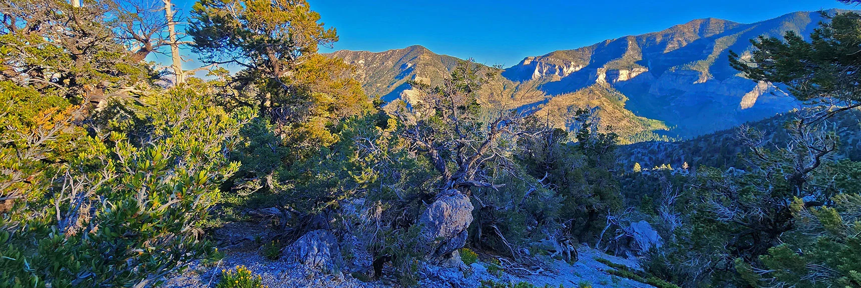 4th Descent Ridge...Aiming for Harris Mt., Then Descend into Gully to Right | Fletcher Canyon / Fletcher Peak / Cockscomb Ridge Circuit | Mt. Charleston Wilderness | Spring Mountains, Nevada