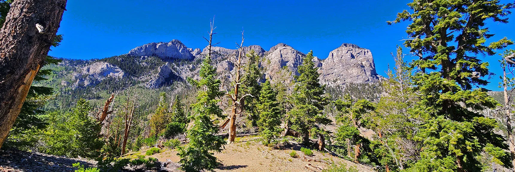 Mummy Mt. Viewed from Cockscomb Ridge | Fletcher Canyon / Fletcher Peak / Cockscomb Ridge Circuit | Mt. Charleston Wilderness | Spring Mountains, Nevada