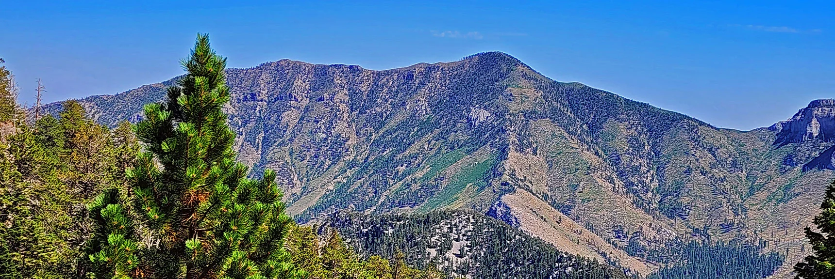 Harris Mt. and Spine of Western Approach Ridge. Cockscomb Descend Ridge in Foreground | Fletcher Canyon / Fletcher Peak / Cockscomb Ridge Circuit | Mt. Charleston Wilderness | Spring Mountains, Nevada