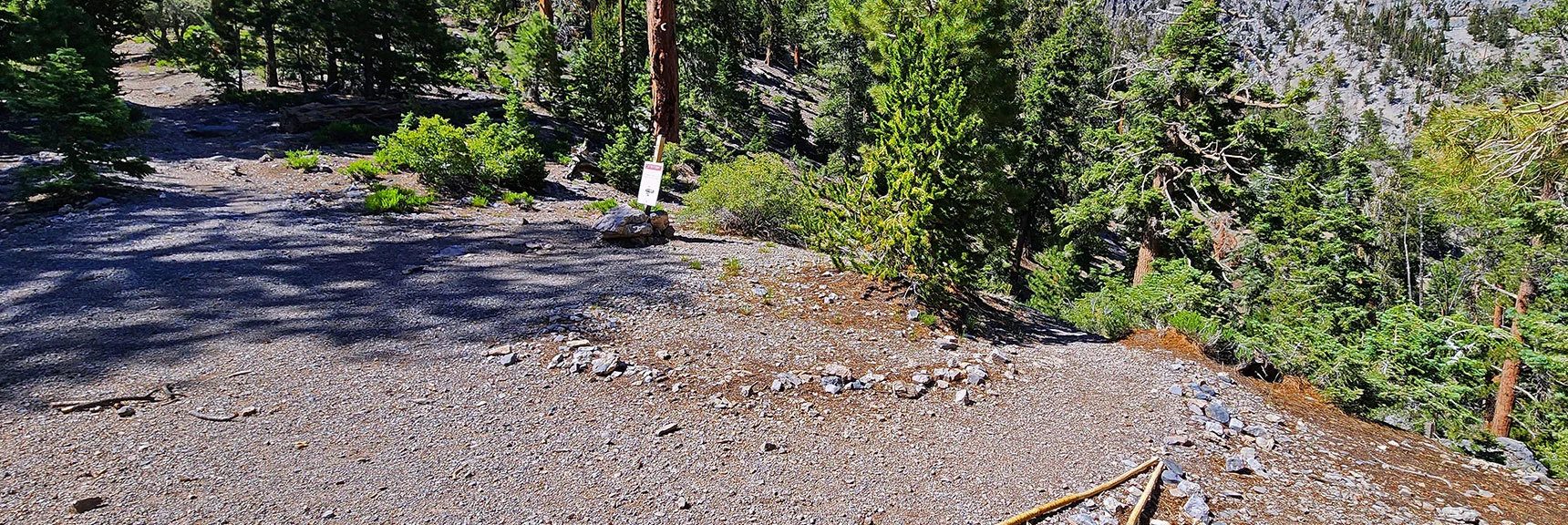 Arrival at Trail Canyon/North Loop Trail Junction. N Loop (right & left) | Fletcher Canyon / Fletcher Peak / Cockscomb Ridge Circuit | Mt. Charleston Wilderness | Spring Mountains, Nevada