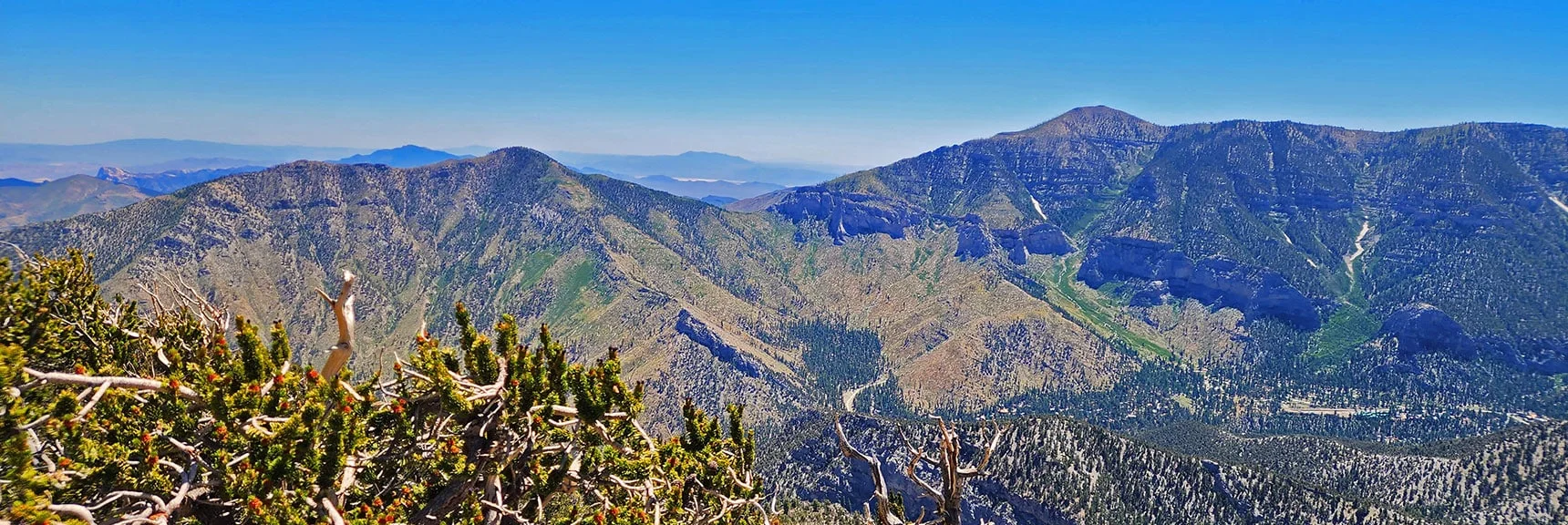 Harris Mt. & Griffith Peak, Saddle Between. Spine of Harris Mt. E. & W, Approach Ridges | Fletcher Canyon / Fletcher Peak / Cockscomb Ridge Circuit | Mt. Charleston Wilderness | Spring Mountains, Nevada