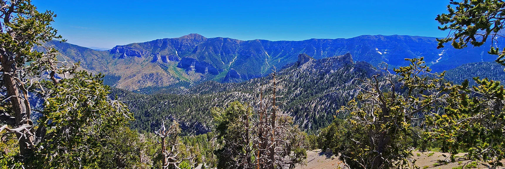 East Side of Cockscomb Ridge, Will Descend Ridges There to Stanley B. Spring | Fletcher Canyon / Fletcher Peak / Cockscomb Ridge Circuit | Mt. Charleston Wilderness | Spring Mountains, Nevada