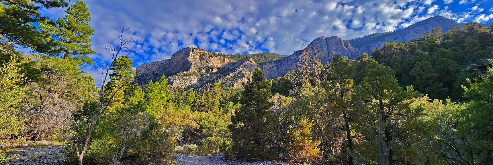 Fletcher Peak Base is Guarded by an Imposing Line of Cliffs | Fletcher Canyon / Fletcher Peak / Cockscomb Ridge Circuit | Mt. Charleston Wilderness | Spring Mountains, Nevada
