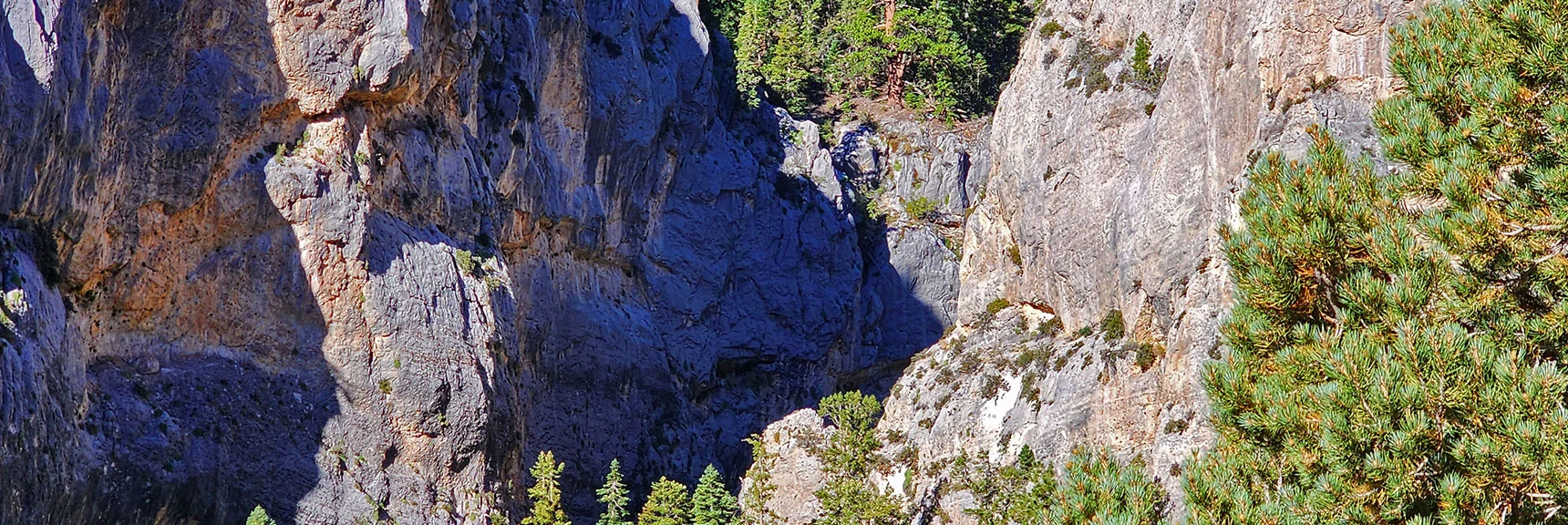 View Down into Slot Canyon Area of Fletcher Canyon | Fletcher Canyon / Fletcher Peak / Cockscomb Ridge Circuit | Mt. Charleston Wilderness | Spring Mountains, Nevada | Fletcher Canyon / Fletcher Peak / Cockscomb Ridge Circuit | Mt. Charleston Wilderness | Spring Mountains, Nevada