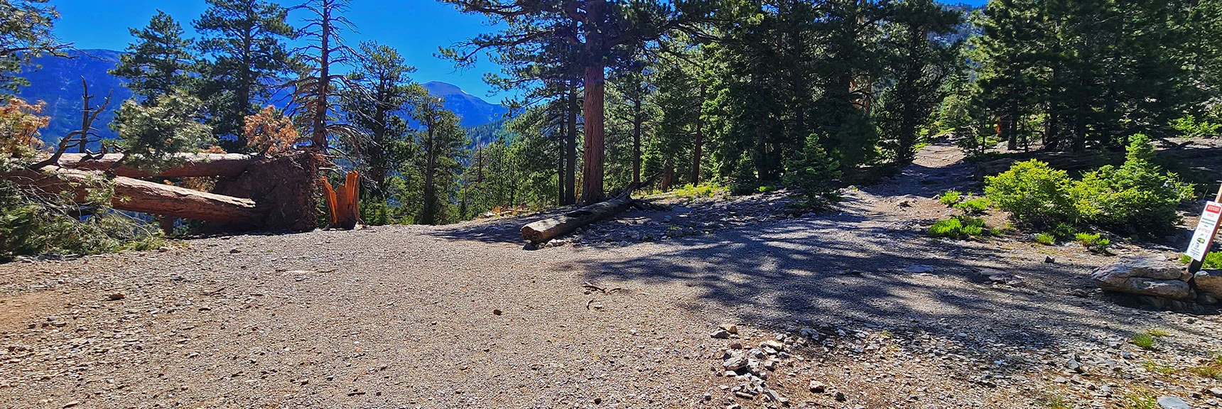 North Loop Trail (right); Trail Canyon Trail Straight (2 easy miles to trailhead). | Fletcher Canyon / Fletcher Peak / Cockscomb Ridge Circuit | Mt. Charleston Wilderness | Spring Mountains, Nevada