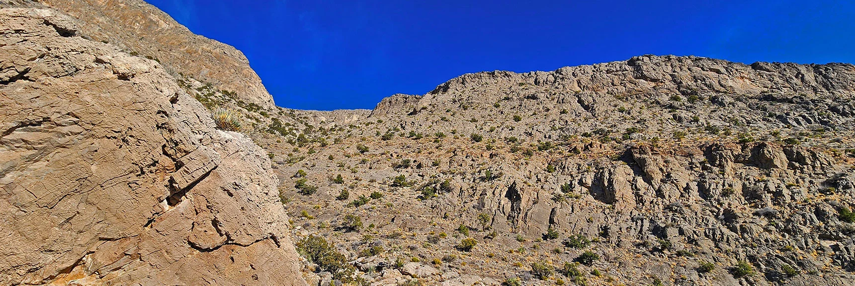 Upper End of Canyon to NW Looks Like a Promising Future Route | Damsel Peak Southeastern Pinnacle Loop | La Madre Mountains Wilderness, Nevada