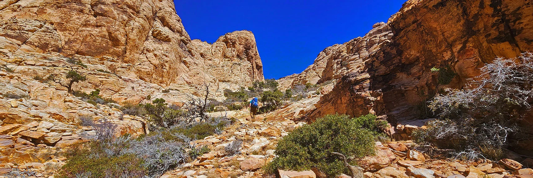 At This Point Take Gully to Right (North) to Hollow Rock Peak | Hollow Rock & South Peaks Loop | Rainbow Mts. Wilderness, Nevada
