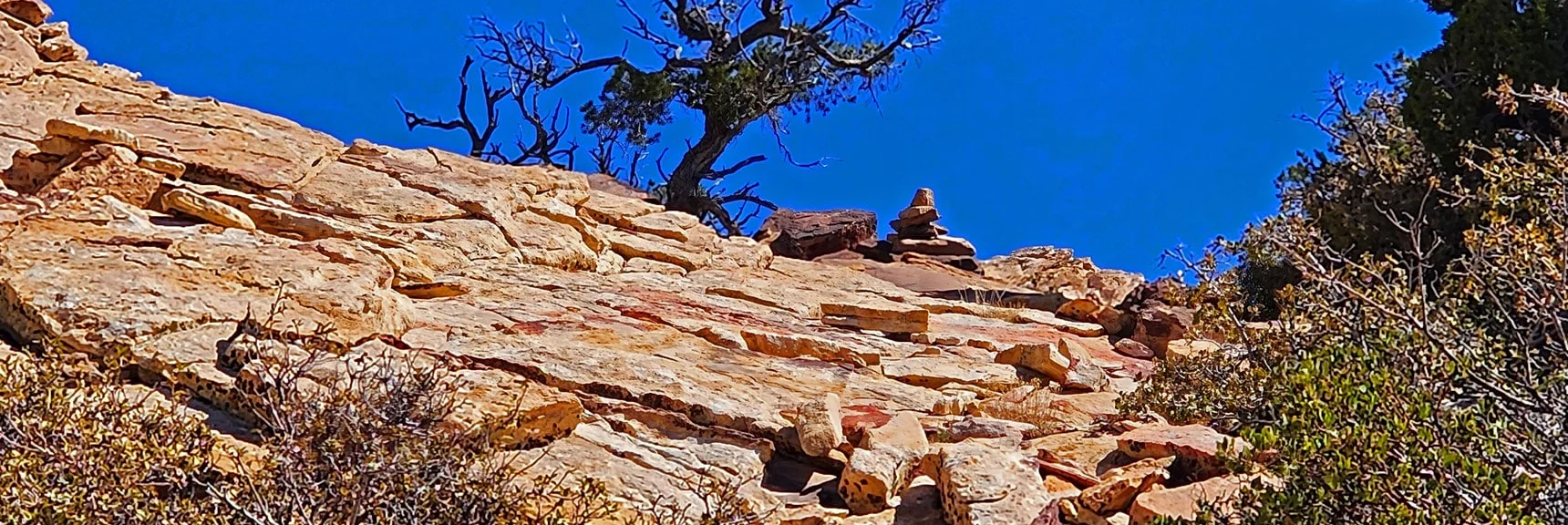 Angle Right Near Gully Summit. Will Cross Next Gully. | Hollow Rock & South Peaks Loop | Rainbow Mts. Wilderness, Nevada