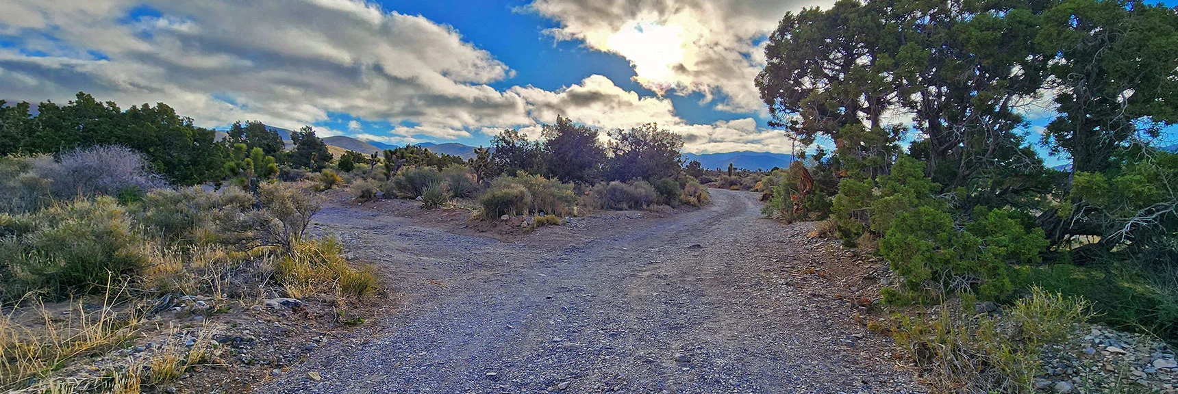 Head Up an Unpaved Road Taking the First Right Branch | Indecision Peak Summit | Rainbow Mountain Wilderness, Nevada