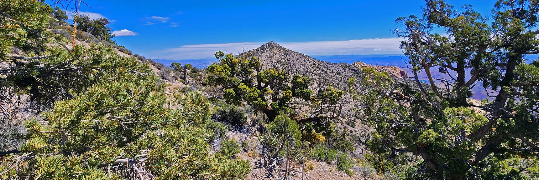 Ascend Toward Highest Point (Major Decision Peak); Circle to Right, Descend Ridge | Indecision Peak Summit | Rainbow Mountain Wilderness, Nevada