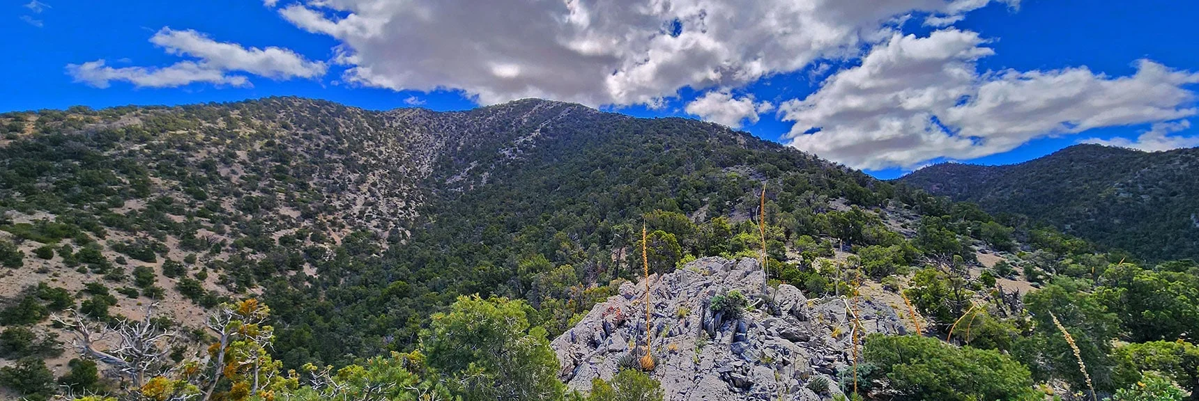 Continue Ascending Approach Ridge. Limestone Stretches Appear. | El Bastardo Peak | La Madre Mountains Wilderness, Nevada