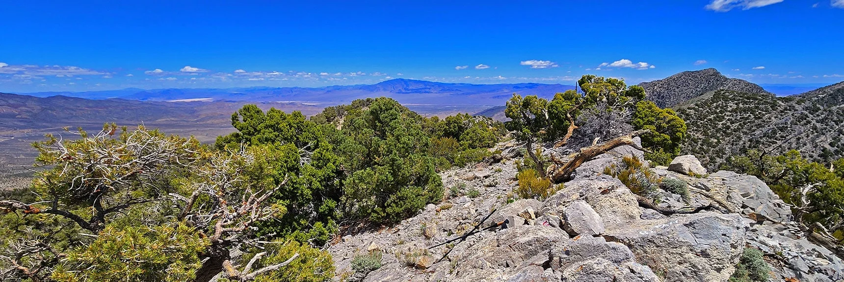 Heading East on La Madre Ridgeline Toward La Madre Peak. | El Bastardo Peak | La Madre Mountains Wilderness, Nevada