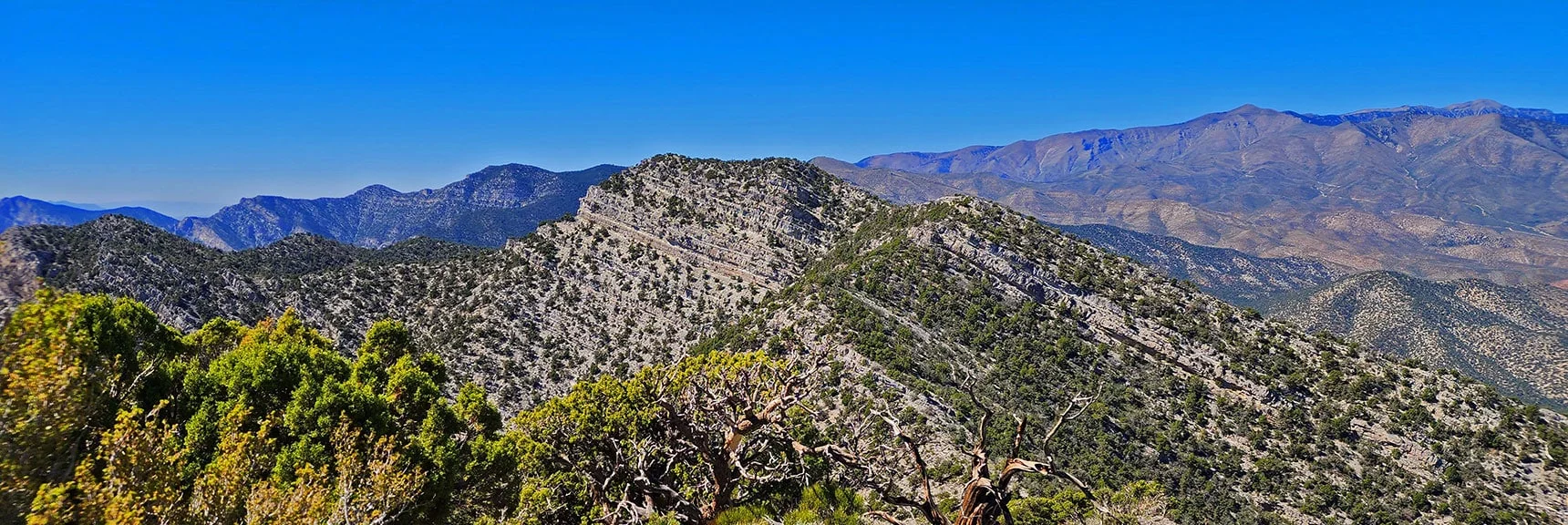 El Bastardo Peak (Left); Burnt Peak (Right) on La Madre Ridgeline | La Madre Mountains Wilderness, Nevada