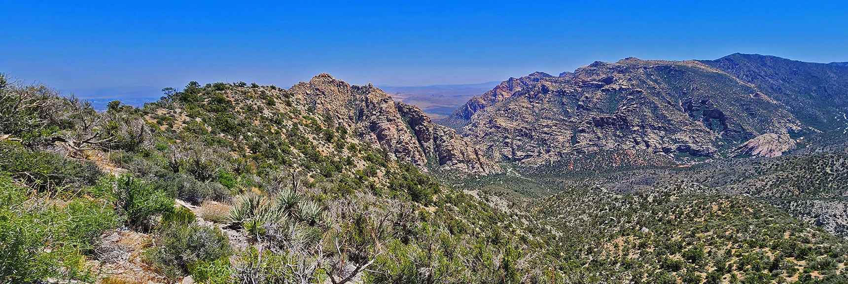 Take the Descent Ridgeline That Lands Closest to West (right) Edge of White Rock Mt. | La Madre Springs West Ridge Loop | La Madre Mountains Wilderness, Nevada