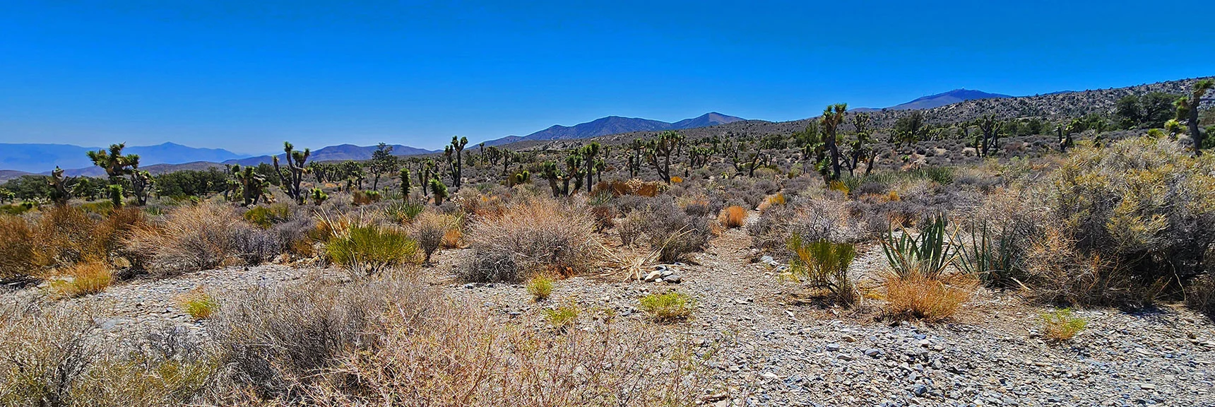 Trail Immediately Crosses Wash at Base of Ridge. Note Small Cairn Marker. | Rocky Gorge Loop Trail | Sawmill Trailhead Area | Lee Canyon, Nevada