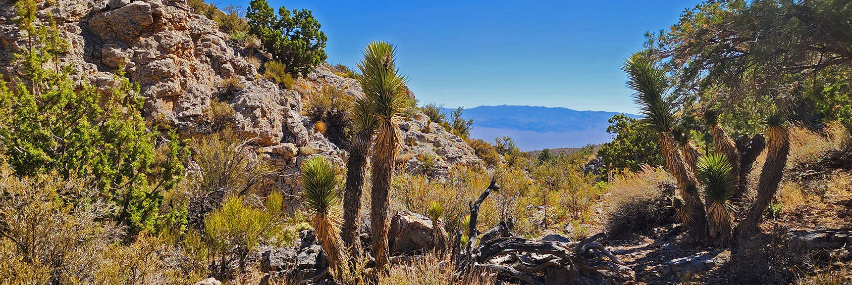 Hidden Away in Lee Canyon, But Well Worth the Search! | Rocky Gorge Loop Trail | Sawmill Trailhead Area | Lee Canyon, Nevada