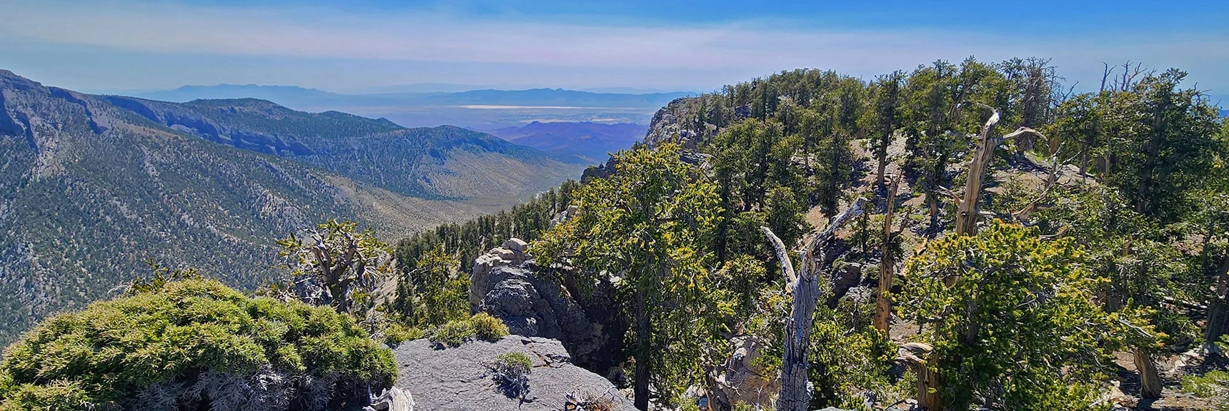 Wallace Canyon's Opening into the Amargosa Valley | Amargosa Overlook | Mt. Charleston Wilderness | Spring Mountains, Nevada