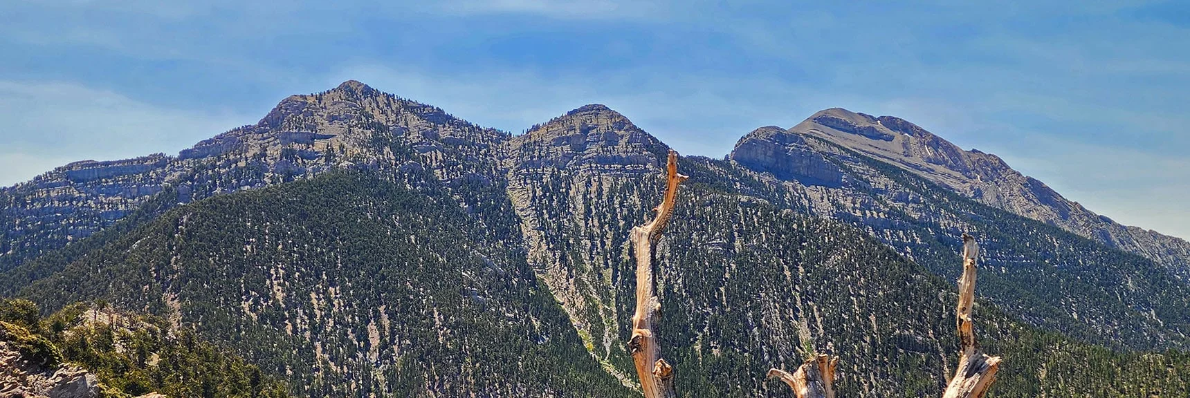 Lee Peak to Charleston Peak in Full Glory Across Wallace Canyon | Amargosa Overlook | Mt. Charleston Wilderness | Spring Mountains, Nevada
