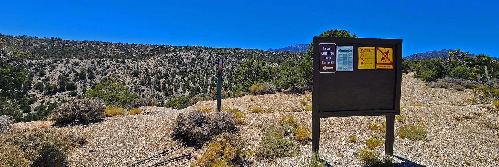 Across Lee Canyon Rd: Arrival at Lower Trailhead and Canyon Descent. | Blue Tree Loop | Sawmill Trailhead | Lee Canyon, Nevada