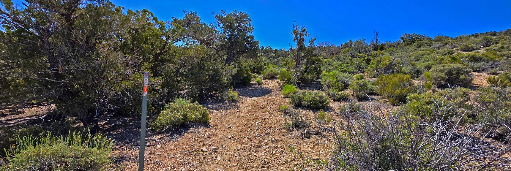 Spectacular Views from the Eastern Slopes of Mummy Mt. to the Sheep Range | Deer Creek Catch Pen Loop | Sawmill Trailhead | Lee Canyon, Nevada