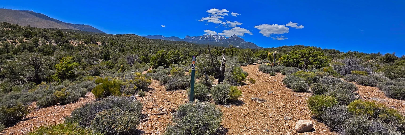 Spectacular Views from the Eastern Slopes of Mummy Mt. to the Sheep Range | Deer Creek Catch Pen Loop | Sawmill Trailhead | Lee Canyon, Nevada