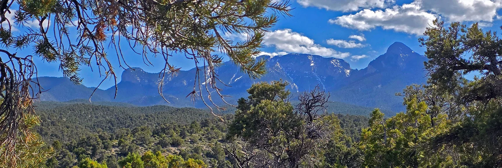 Spectacular Views from the Eastern Slopes of Mummy Mt. to the Sheep Range | Deer Creek Catch Pen Loop | Sawmill Trailhead | Lee Canyon, Nevada