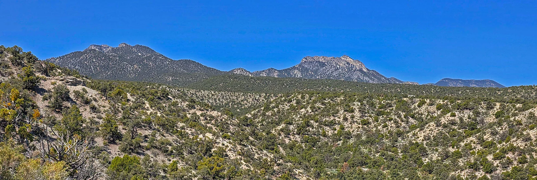 Spectacular Views from the Eastern Slopes of Mummy Mt. to the Sheep Range | Deer Creek Catch Pen Loop | Sawmill Trailhead | Lee Canyon, Nevada