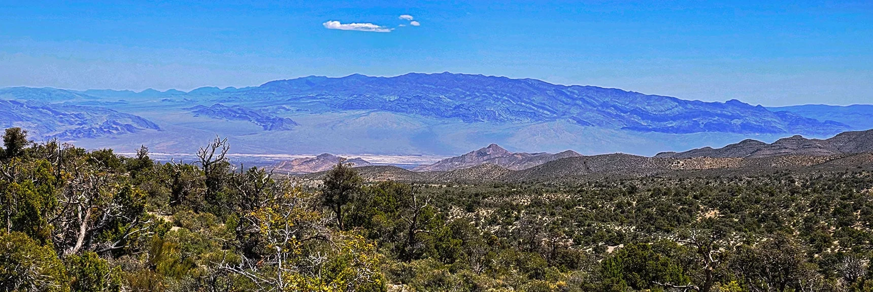 Spectacular Views from the Eastern Slopes of Mummy Mt. to the Sheep Range | Deer Creek Catch Pen Loop | Sawmill Trailhead | Lee Canyon, Nevada