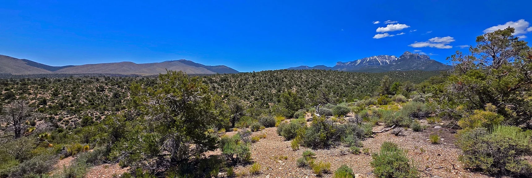 Spectacular Views from the Eastern Slopes of Mummy Mt. to the Sheep Range | Deer Creek Catch Pen Loop | Sawmill Trailhead | Lee Canyon, Nevada