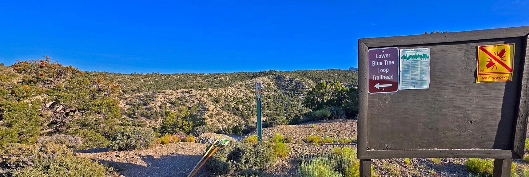 Spectacular Views from the Eastern Slopes of Mummy Mt. to the Sheep Range | Deer Creek Catch Pen Loop | Sawmill Trailhead | Lee Canyon, Nevada